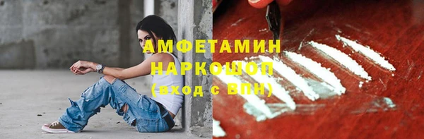 индика Чекалин