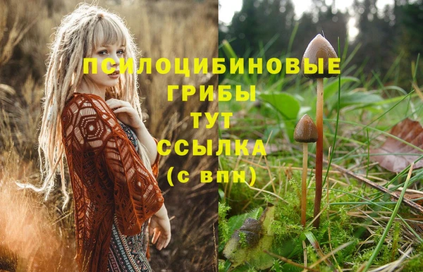 эйфоретик Новокубанск