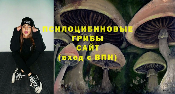 эйфоретик Новокубанск