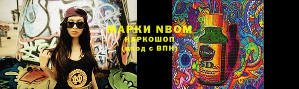 эйфоретик Новокубанск