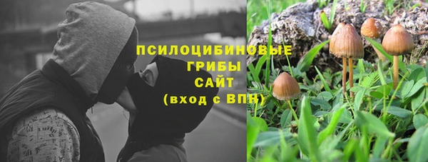 крисы Вязники